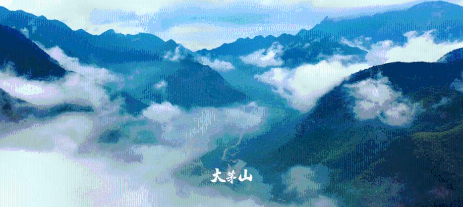 请问读电大大专的小学教育专业毕业后可以参加小学教师资格证的考试吗？游戏画面