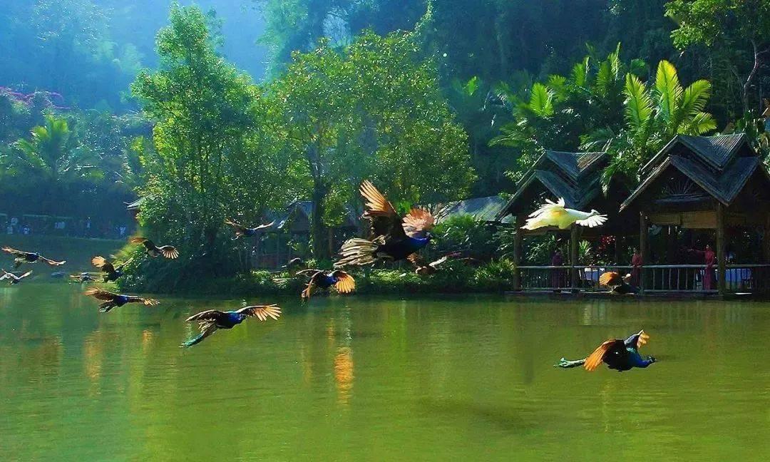 战争怒吼