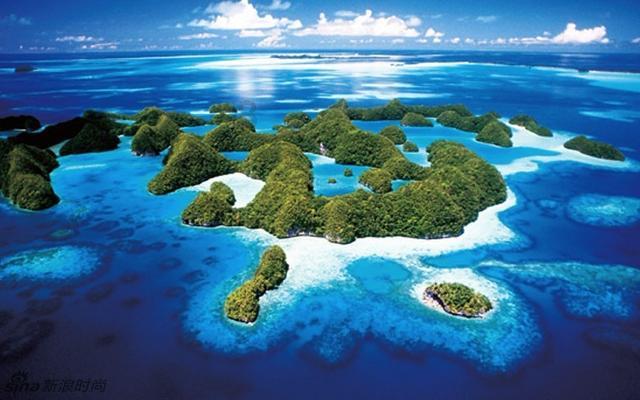 虫虫助手下载
