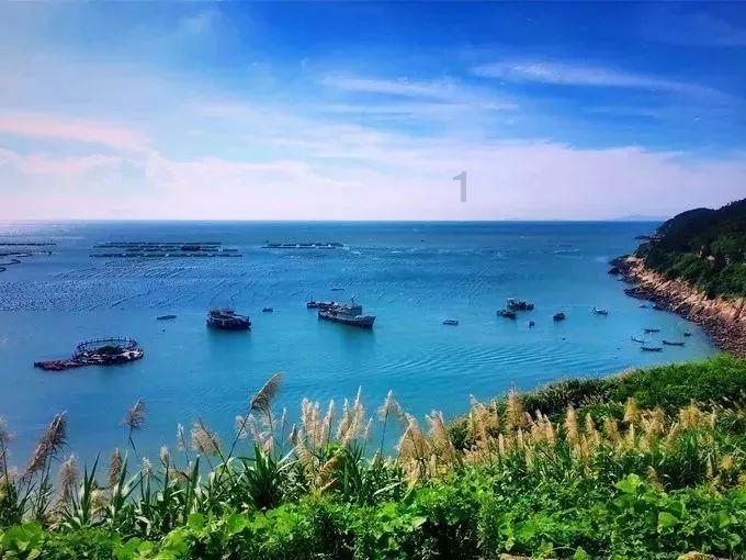 董少鹏：证监会发布两条信息