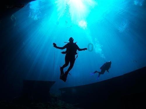 SOMA