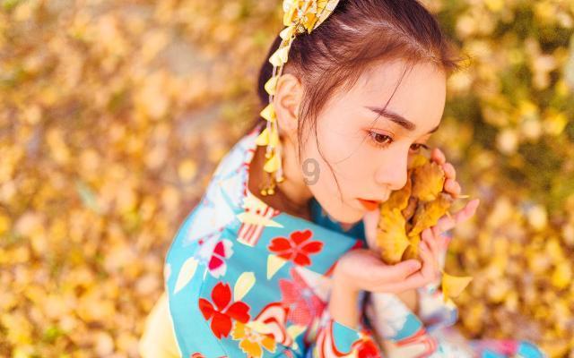 主人撞车狗子飞奔跑路 找了9小时发现在井里 网友:它报“井”去了
