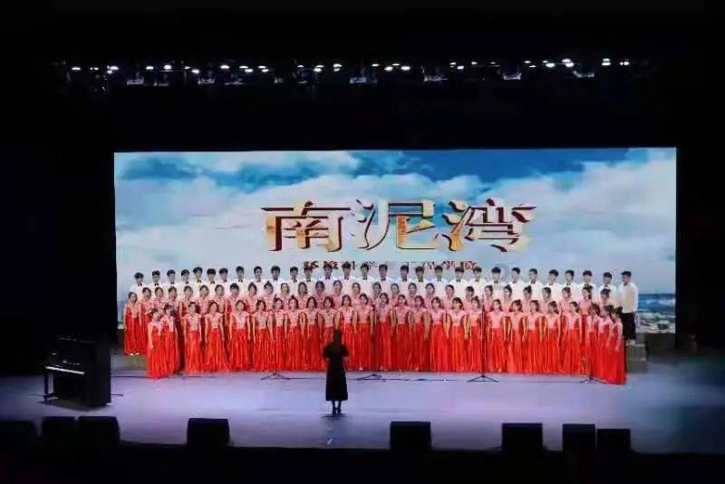 音飞储存2涨停