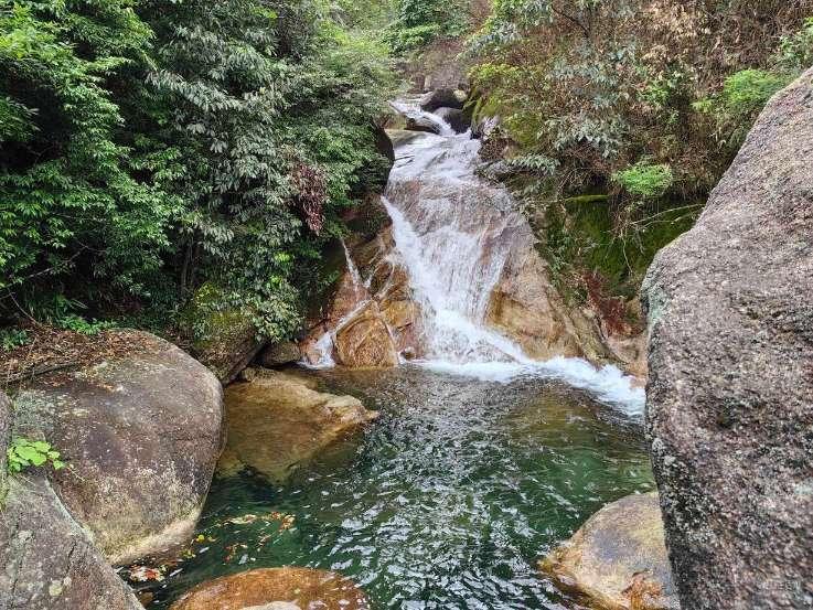 受益年货市场 顺丰同城新春业务增长