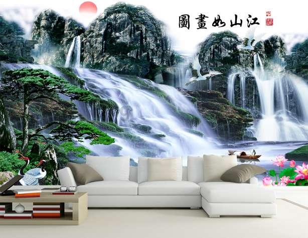 细胞分裂5