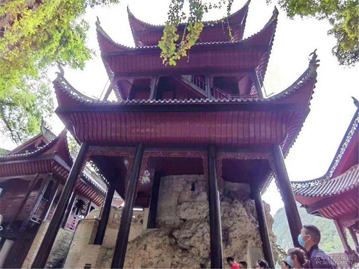 逗小猴开心系列192