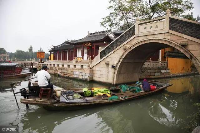 时尚小鸡救援