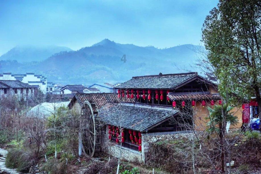 春雨直播app