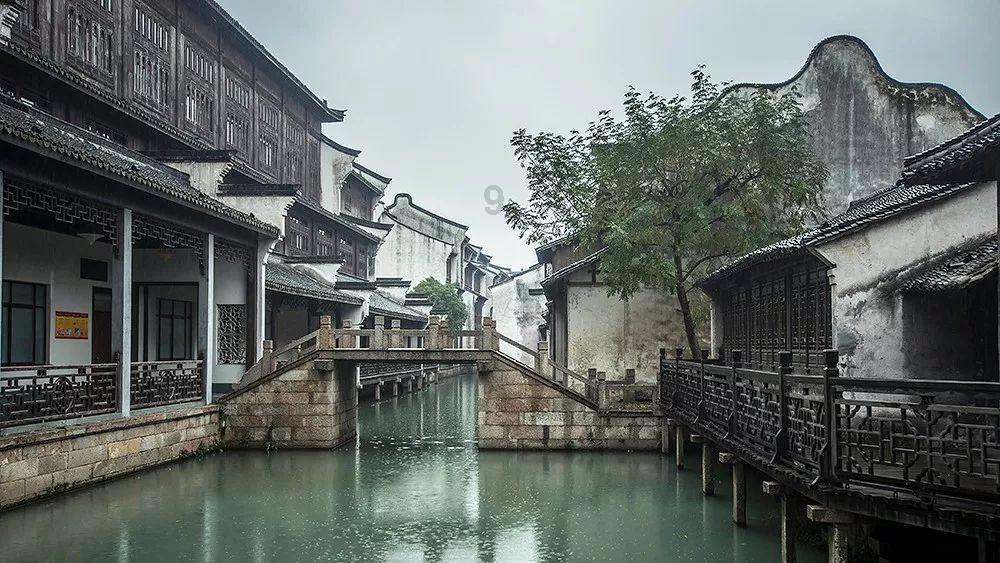 救援怒吼的狮子