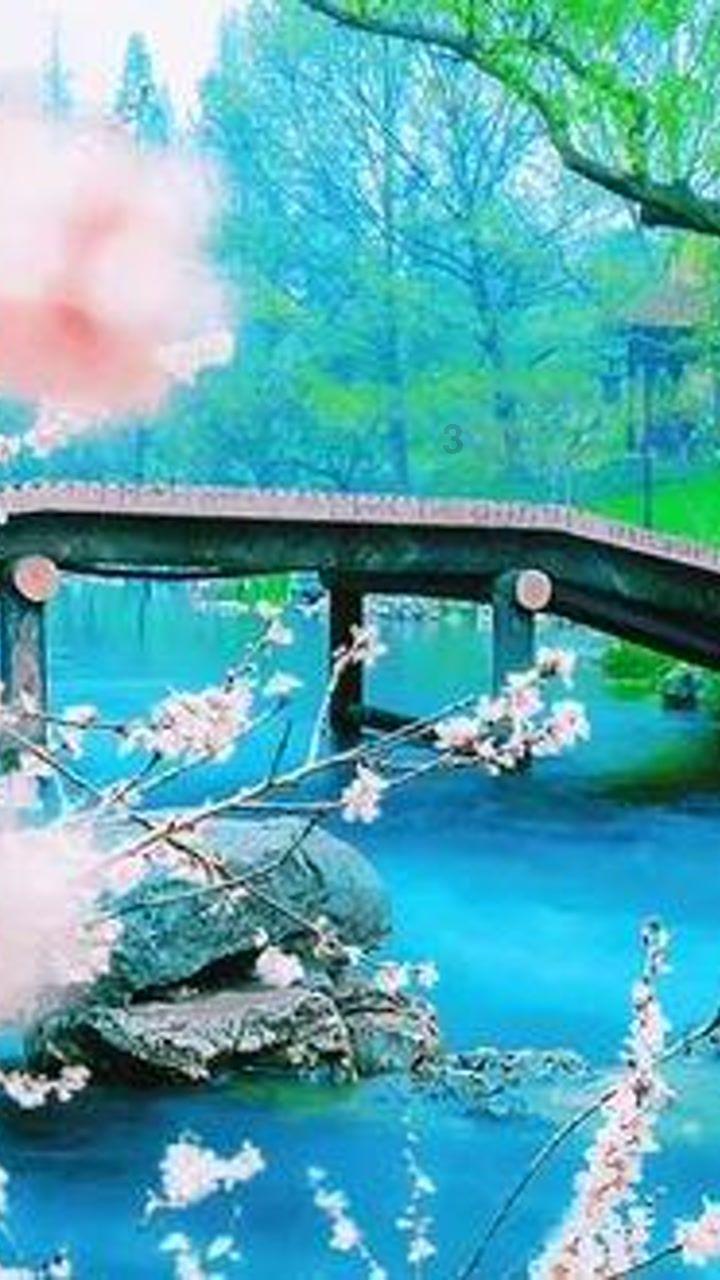 河南安阳:积极应对寒潮天气,全力保障蔬菜供应